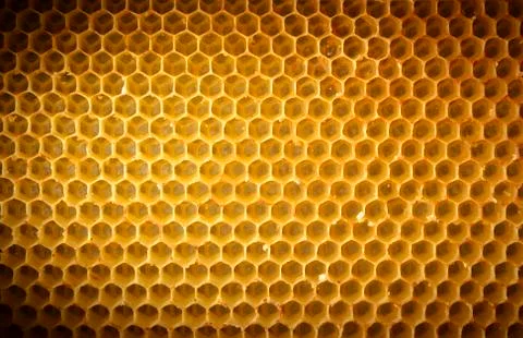 Honeycomb background Stock Photos