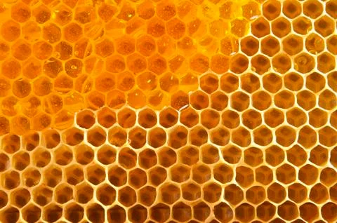 Honeycomb background Stock Photos