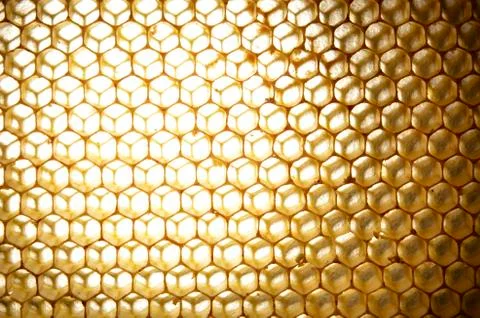Honeycomb background Foto stock