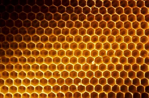 Honeycomb background Stock Photos