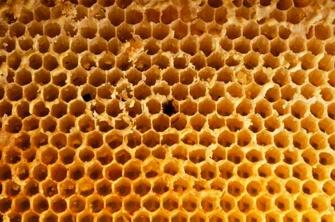 Honeycomb background Stock Photos
