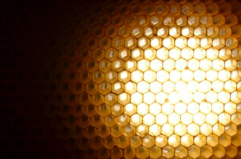 Honeycomb background Stock Photos