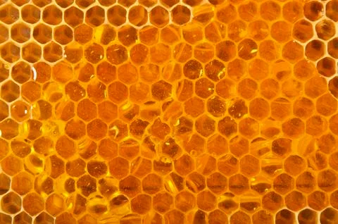 Honeycomb background Stock Photos