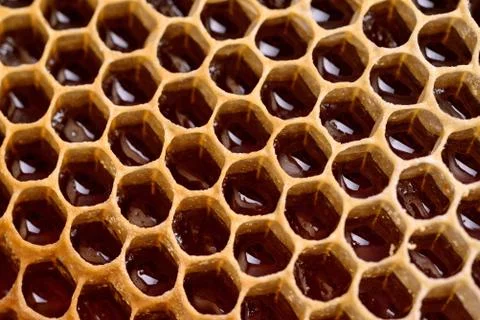 Honeycomb background Stock Photos