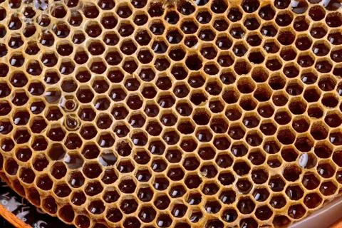 Honeycomb background Stock Photos