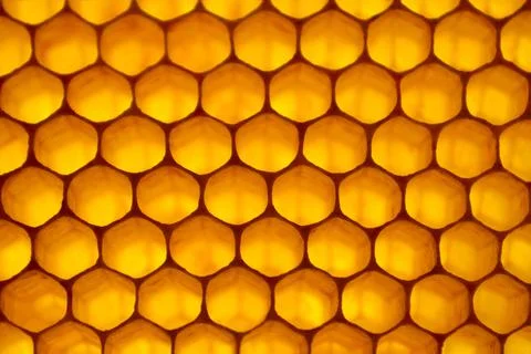 Honeycomb background Stock Photos