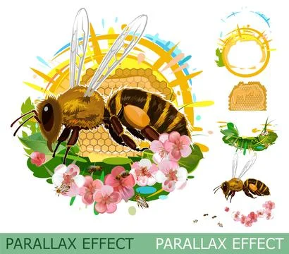 Honeycomb bee. set of slides create parallax image layer. Cartoon style Stock Illustration