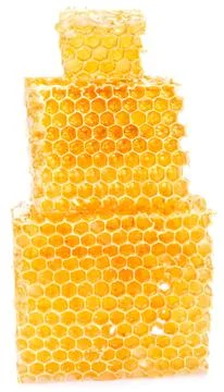 Honeycomb with bees on natural honeycomb in sunlight Stock Photos
