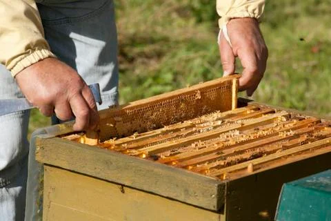 Honeycomb boxes are checked Stock Photos