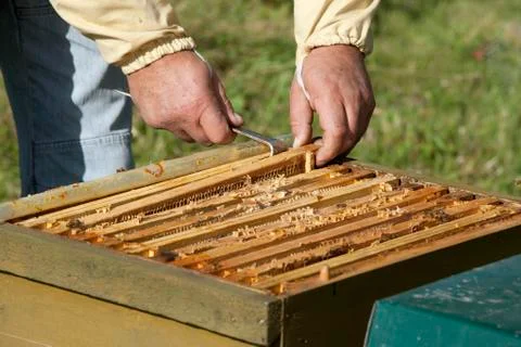 Honeycomb boxes Stock Photos