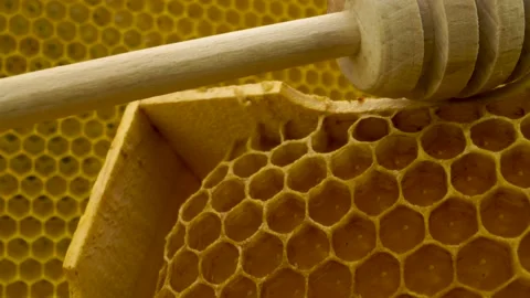 Honeycomb close up hitting camera Stockbeeldmateriaal 159736546