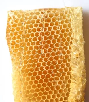 Honeycomb close up Foto stock