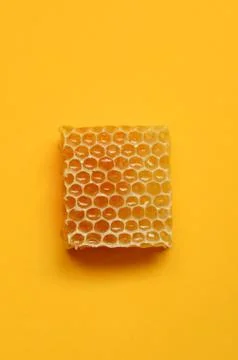 Honeycomb close up Stock Photos