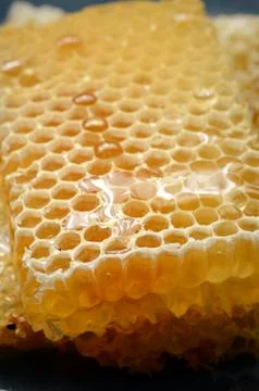 Honeycomb close up Stock Photos