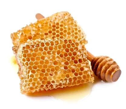 Honeycomb closeup . Stock Photos