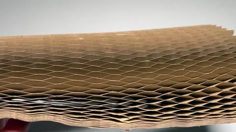 Honeycomb core cell Video stock 305314690