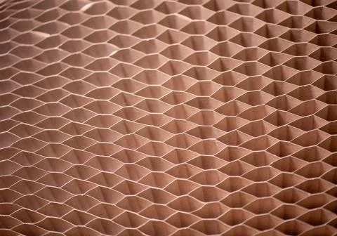 Honeycomb core cell image from above made in studio Stock Photos