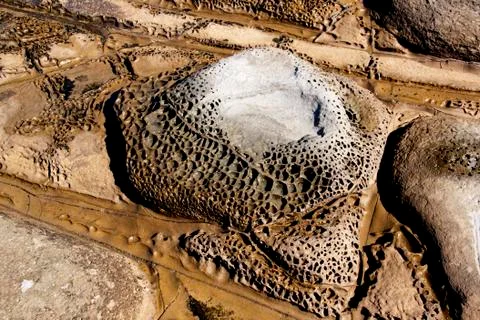 Honeycomb dimpled erosion pattern on rock in seashore pool Stock Photos