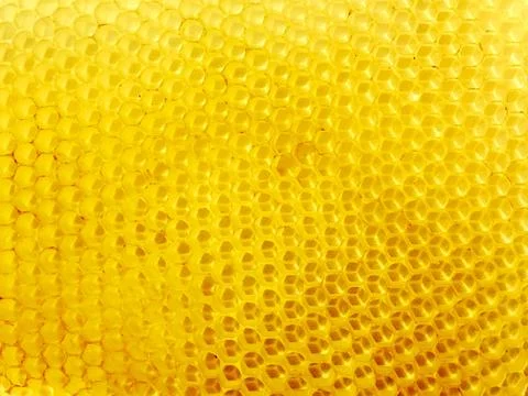 Honeycomb with empty cells Stock Photos
