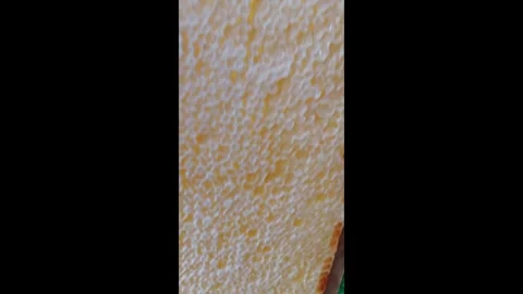 Honeycomb extraction process at a local farm in early summer Stock Footage 328098955
