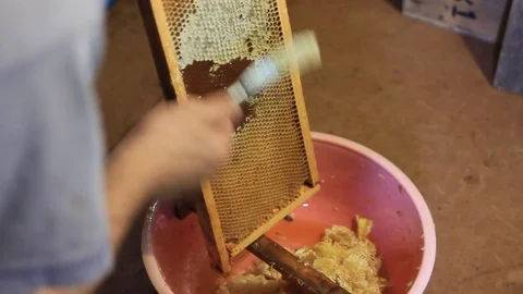 Honeycomb Stock Footage 97071514