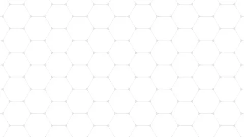 Honeycomb grid background version black and white Stock-Footage 162429347