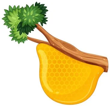Honeycomb Hanging from Tree Branch Stock Illustration