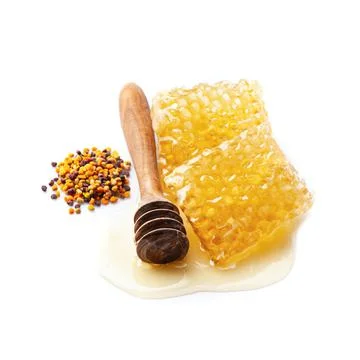 Honeycomb with honey pollen Stock Photos