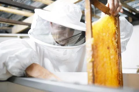 Honeycomb, honey production and woman, farmer with suit for safety Stock Photos