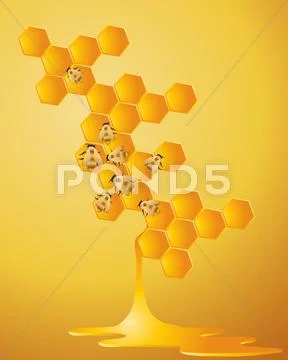 Honeycomb Stock Illustration