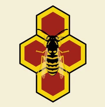 Honeycomb Stock Illustration