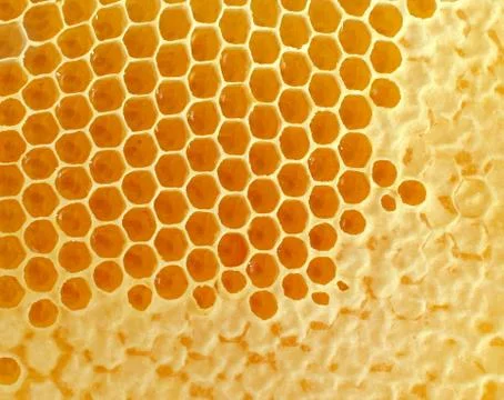Honeycomb Illustrazione stock