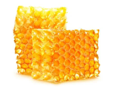 Honeycomb isolated Foto stock