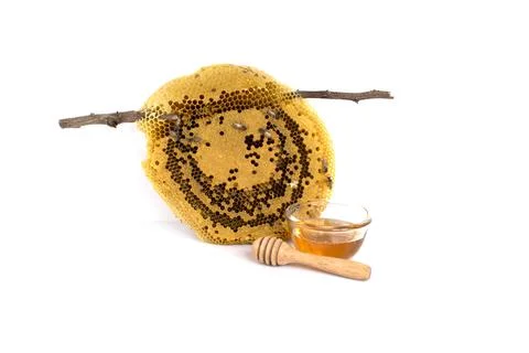Honeycomb isolated on white background Stock Photos