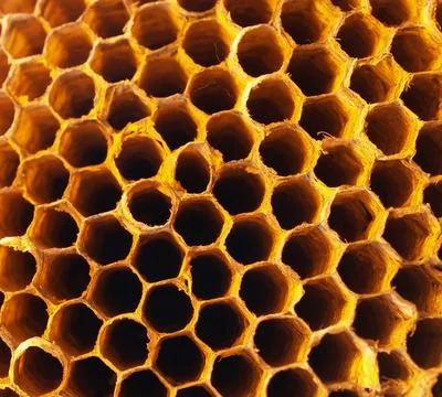 Honeycomb macro detail Stock Photos