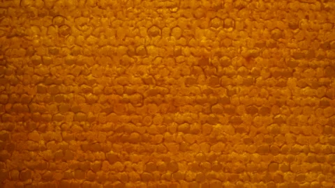 Honeycomb Macro Zoom In Stock Footage 167266966
