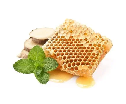 Honeycomb with mint and ginger Stock Photos