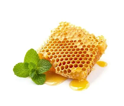 Honeycomb with mint Stock Photos