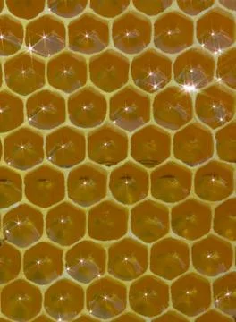 Honeycomb, nectar and light reflected from its surface Stock Photos