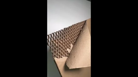 Honeycomb paper cell Video stock 305314677