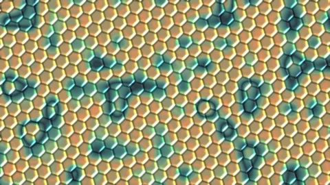 Honeycomb pattern with colorful lighting effects. 2d animation Stock Footage 342387961