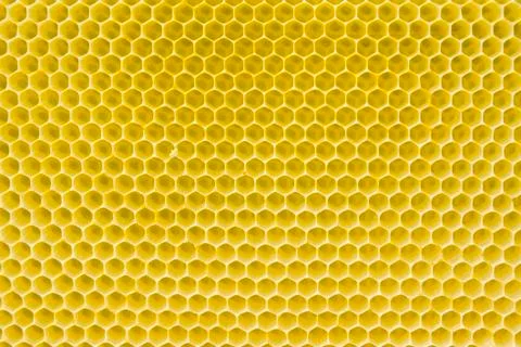 Honeycomb pattern Stock Photos