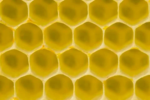 Honeycomb pattern Stock Photos