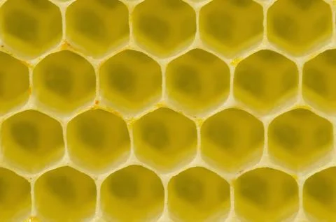Honeycomb pattern Stock Photos