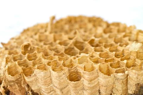 Honeycomb Stock-Fotos