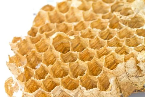 Honeycomb Stock Photos