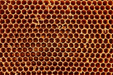 Honeycomb Stock Photos