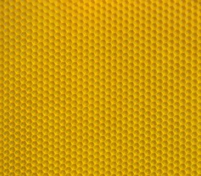 Honeycomb Stock Photos
