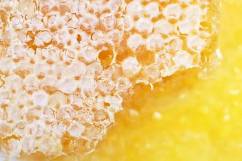 Honeycomb Stock Photos