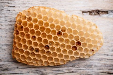 Honeycomb Stock Photos